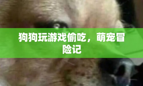 萌寵冒險記，狗狗玩游戲偷吃  第1張