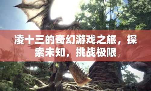 凌十三的奇幻冒險，探索未知，挑戰(zhàn)極限之旅