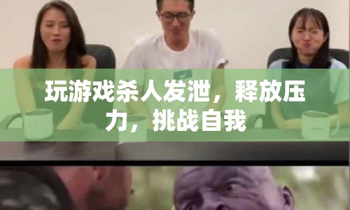 游戲，殺人發(fā)泄，挑戰(zhàn)自我，釋放壓力