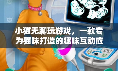 貓咪專屬游戲應(yīng)用，小貓無(wú)聊玩游戲