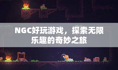 探索無限樂趣，NGC上的奇妙游戲之旅  第1張