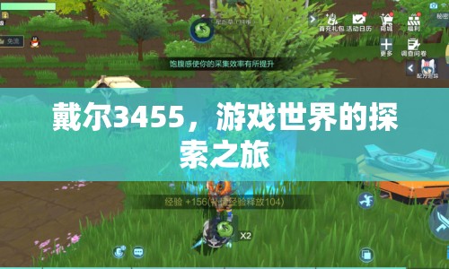 戴爾3455，游戲世界的探索之旅