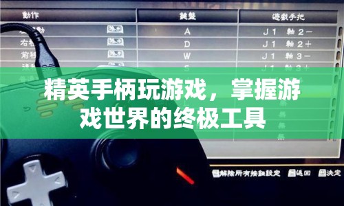 精英手柄，掌握游戲世界的終極工具