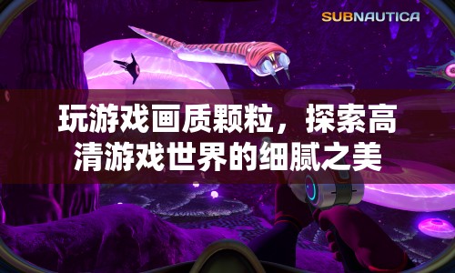 探索高清游戲世界的細(xì)膩之美，游戲畫質(zhì)顆粒解析  第1張