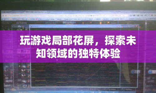 探索未知領(lǐng)域的獨特體驗，玩游戲局部花屏  第1張