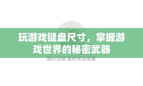 游戲鍵盤尺寸，掌握游戲世界的秘密武器  第1張