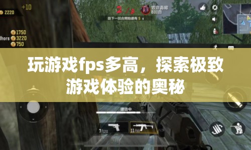 探索極致游戲體驗，揭秘FPS對游戲流暢度的影響