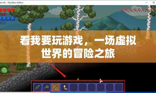 一場虛擬世界的冒險(xiǎn)之旅，探索游戲世界的奧秘