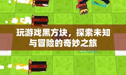 探索未知與冒險(xiǎn)的奇妙之旅，黑方塊游戲