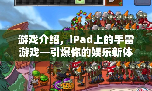 iPad手雷游戲，引爆娛樂新體驗(yàn)