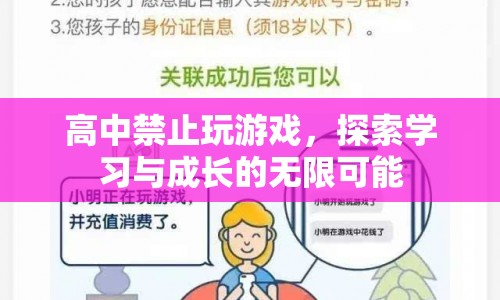 高中禁止玩游戲，探索學(xué)習(xí)與成長的無限可能  第1張
