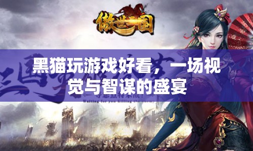 黑貓玩游戲，視覺與智謀的盛宴  第1張
