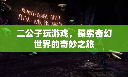 二公子奇幻冒險，探索游戲世界的奇妙之旅  第1張