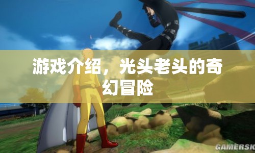 光頭老頭的奇幻冒險之旅