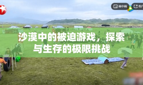 沙漠中的極限挑戰(zhàn)，被迫游戲與生存探索