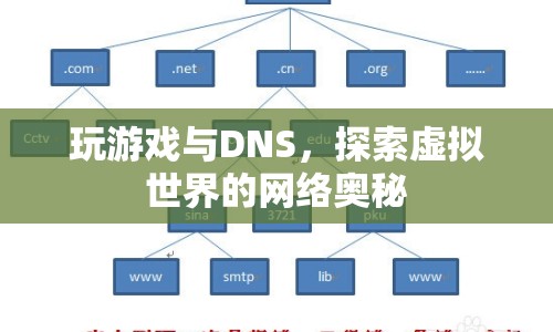 探索虛擬世界的網(wǎng)絡(luò)奧秘，游戲與DNS的奇妙結(jié)合