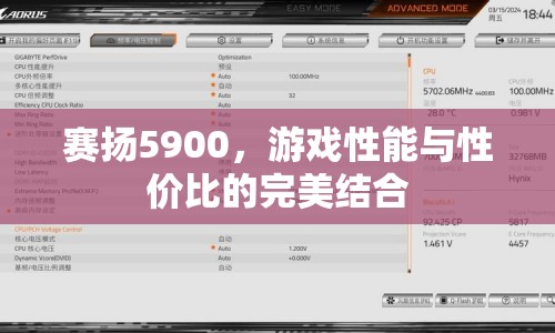 賽揚(yáng)5900，游戲性能與性價(jià)比的完美結(jié)合