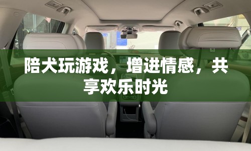 與寵物犬共度的歡樂時光，增進情感，共享樂趣