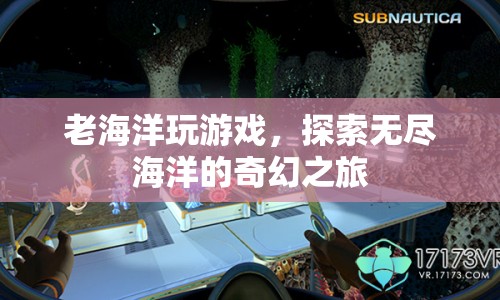 探索無盡海洋，老海洋的奇幻游戲之旅