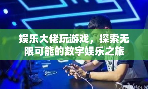 娛樂大佬的數(shù)字娛樂之旅，探索無限可能的冒險(xiǎn)