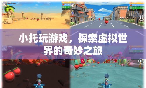 小托的虛擬世界奇妙之旅