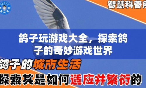 探索鴿子的奇妙游戲世界，鴿子玩游戲大全  第1張