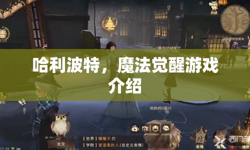 哈利波特，魔法覺醒游戲全解析