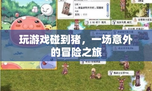 一場(chǎng)意外的冒險(xiǎn)之旅，與豬共舞