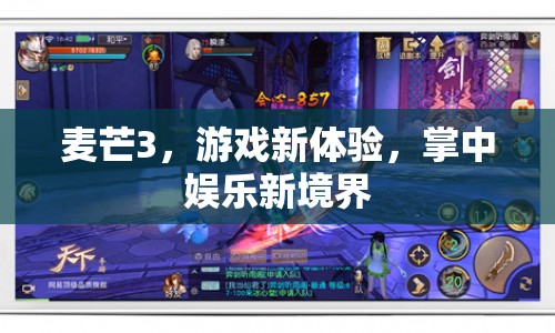 麥芒3，掌中娛樂新境界，開啟游戲新體驗(yàn)