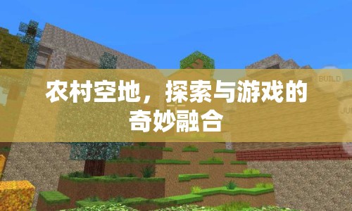 農(nóng)村空地，探索與游戲的奇妙融合