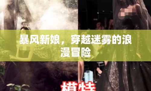 暴風(fēng)新娘，穿越迷霧的浪漫冒險(xiǎn)之旅  第1張