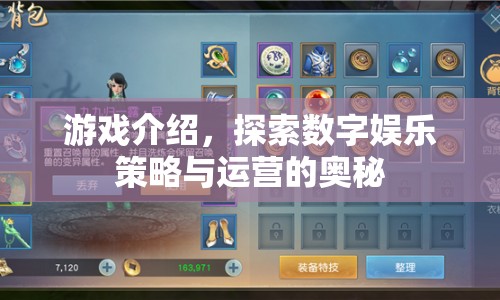 探索數(shù)字娛樂策略與運(yùn)營(yíng)的奧秘，游戲介紹