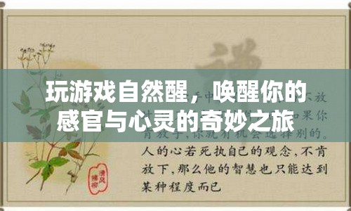 喚醒感官與心靈的奇妙之旅，玩游戲自然醒