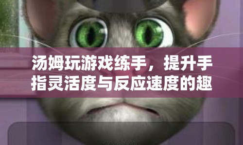 湯姆的趣味游戲之旅，提升手指靈活度與反應(yīng)速度