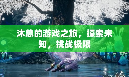 沐總的游戲之旅，探索未知，挑戰(zhàn)極限