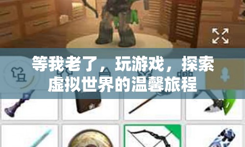 探索虛擬世界的溫馨旅程，老年游戲之旅