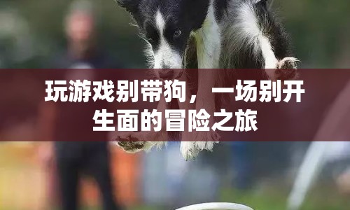 狗狗勿入，一場獨(dú)特冒險(xiǎn)之旅的邀請  第1張