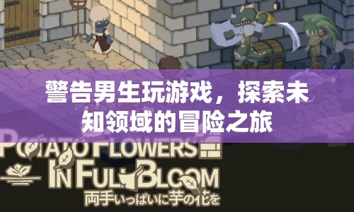 探索未知領(lǐng)域的冒險(xiǎn)之旅，男生游戲警告
