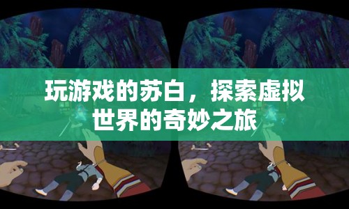蘇白游戲之旅，探索虛擬世界的奇妙冒險(xiǎn)