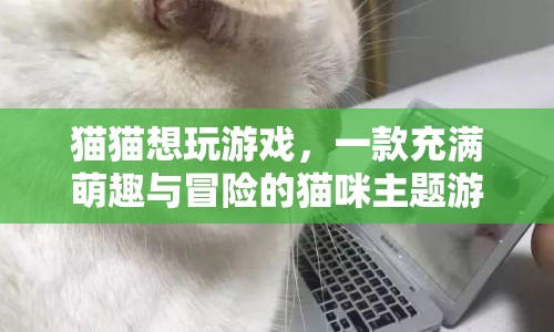 萌趣冒險，貓貓想玩游戲