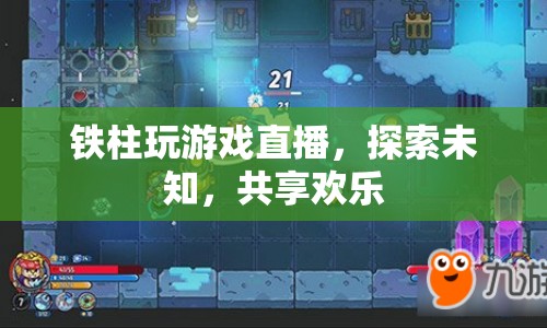 鐵柱游戲直播，探索未知，共享歡樂