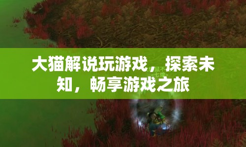 大貓帶你暢游未知，探索游戲之旅