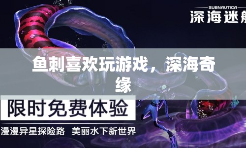 魚(yú)刺的深海奇緣，游戲之旅  第1張