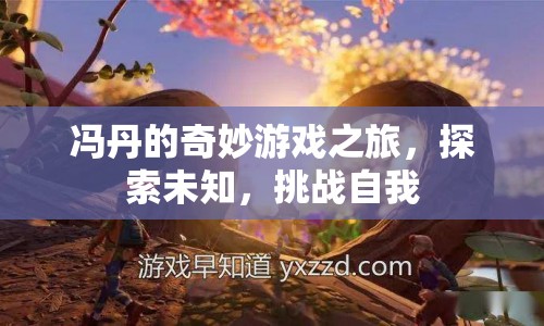 馮丹的奇妙探險，挑戰(zhàn)自我，探索未知