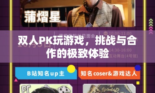 雙人PK，挑戰(zhàn)與合作的極致游戲體驗(yàn)