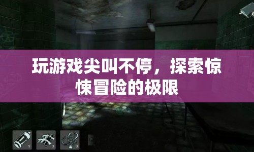 探索驚悚冒險(xiǎn)的極限，尖叫不停的游戲之旅
