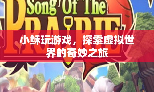 小穌的虛擬世界奇妙之旅