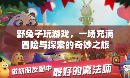 野兔子冒險記，一場奇妙的游戲之旅