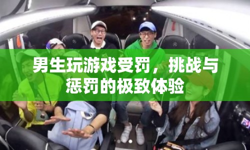 男生玩游戲受罰，挑戰(zhàn)與懲罰的極致體驗(yàn)
