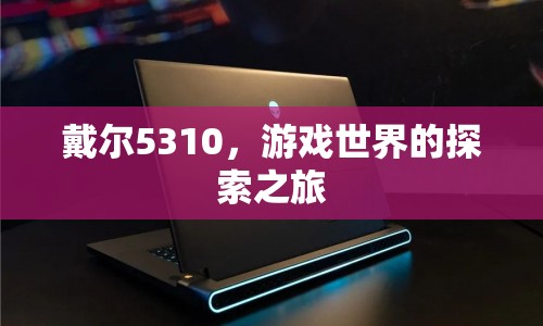 戴爾5310，開啟游戲世界探索之旅